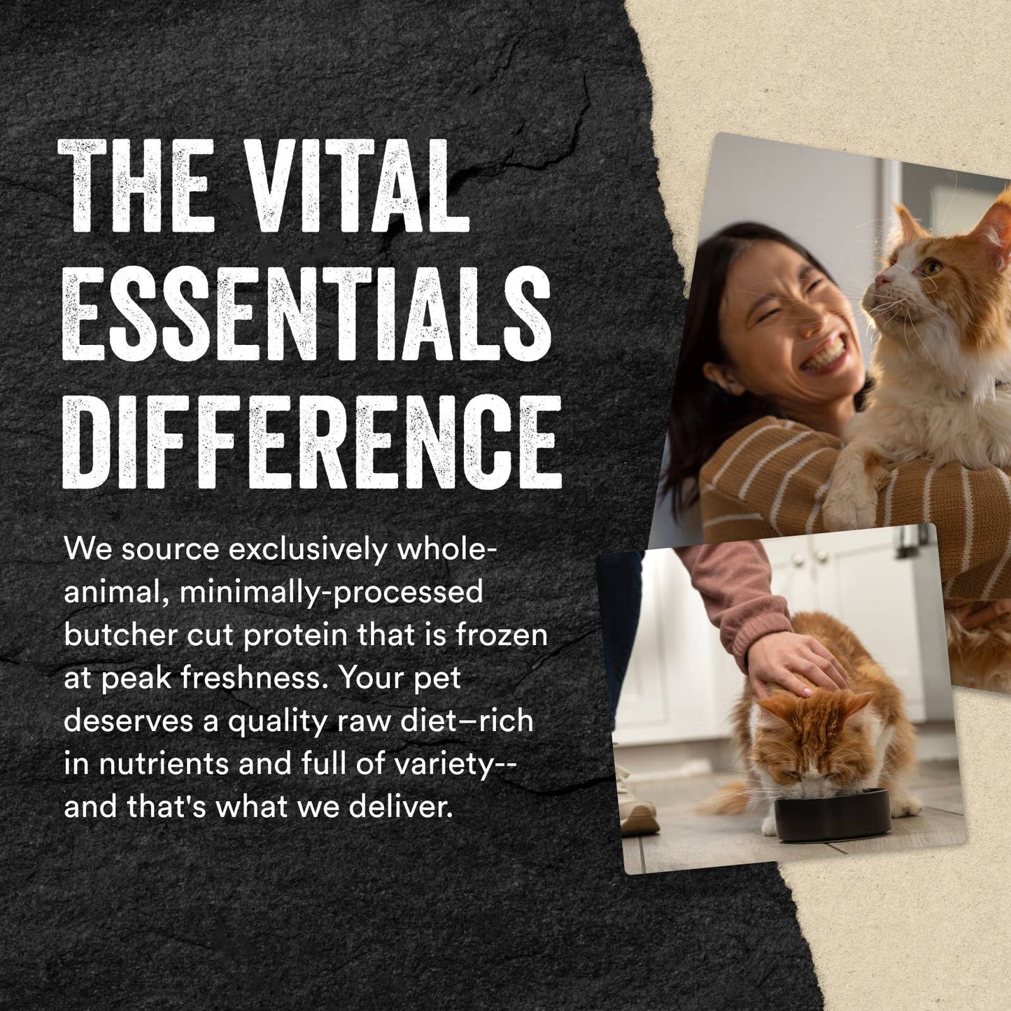 Vital Essentials Freeze-Dried Raw Minnows Cat Treats