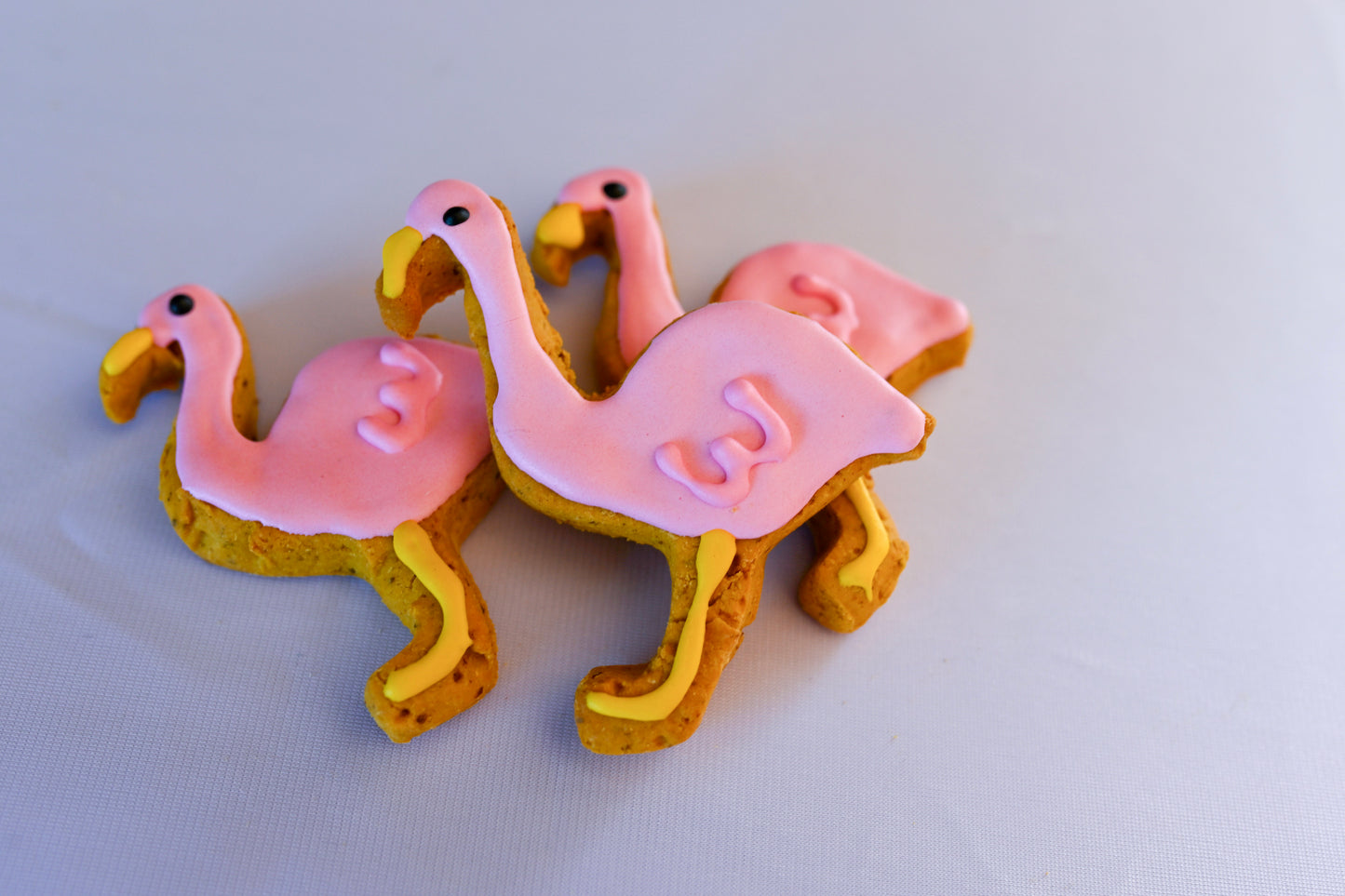 Spring & Summer Cookies