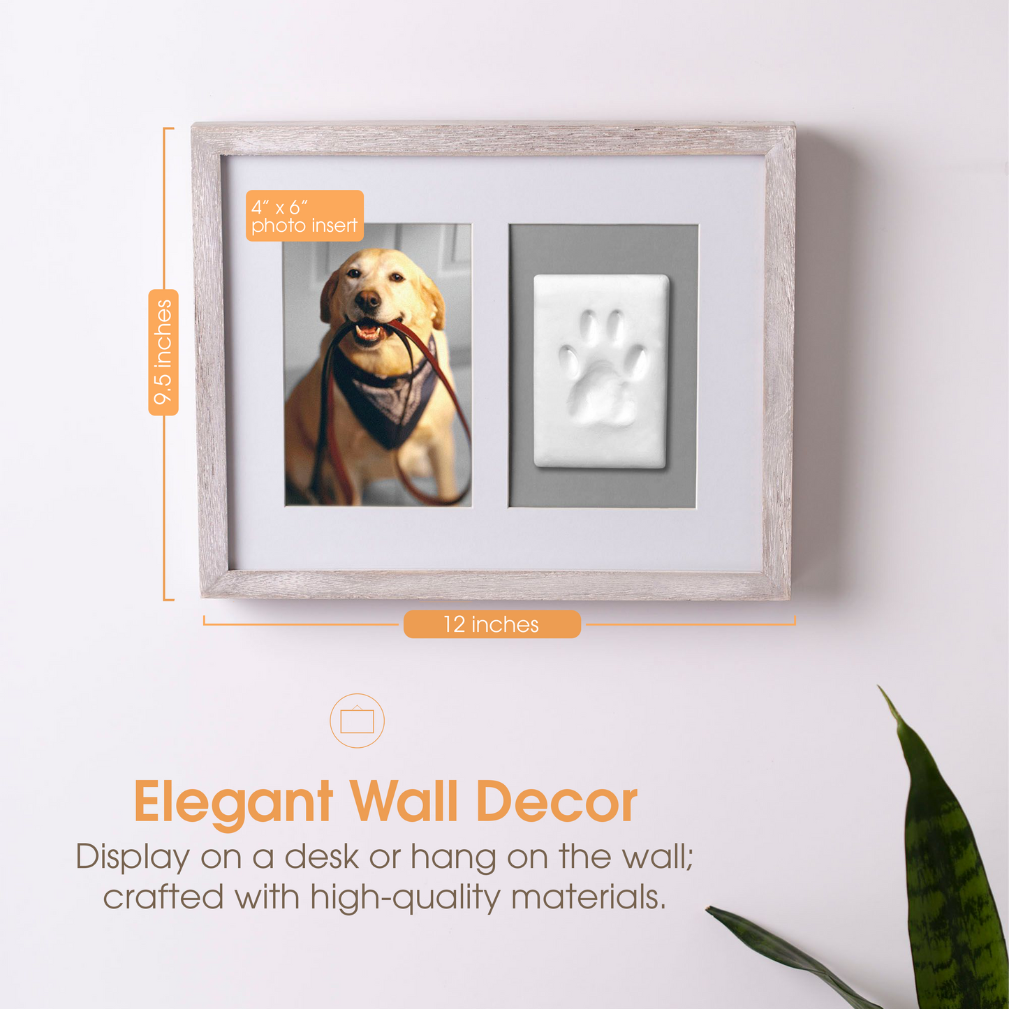 Pawprints Wall Frame and Impression Kit, White Distressed