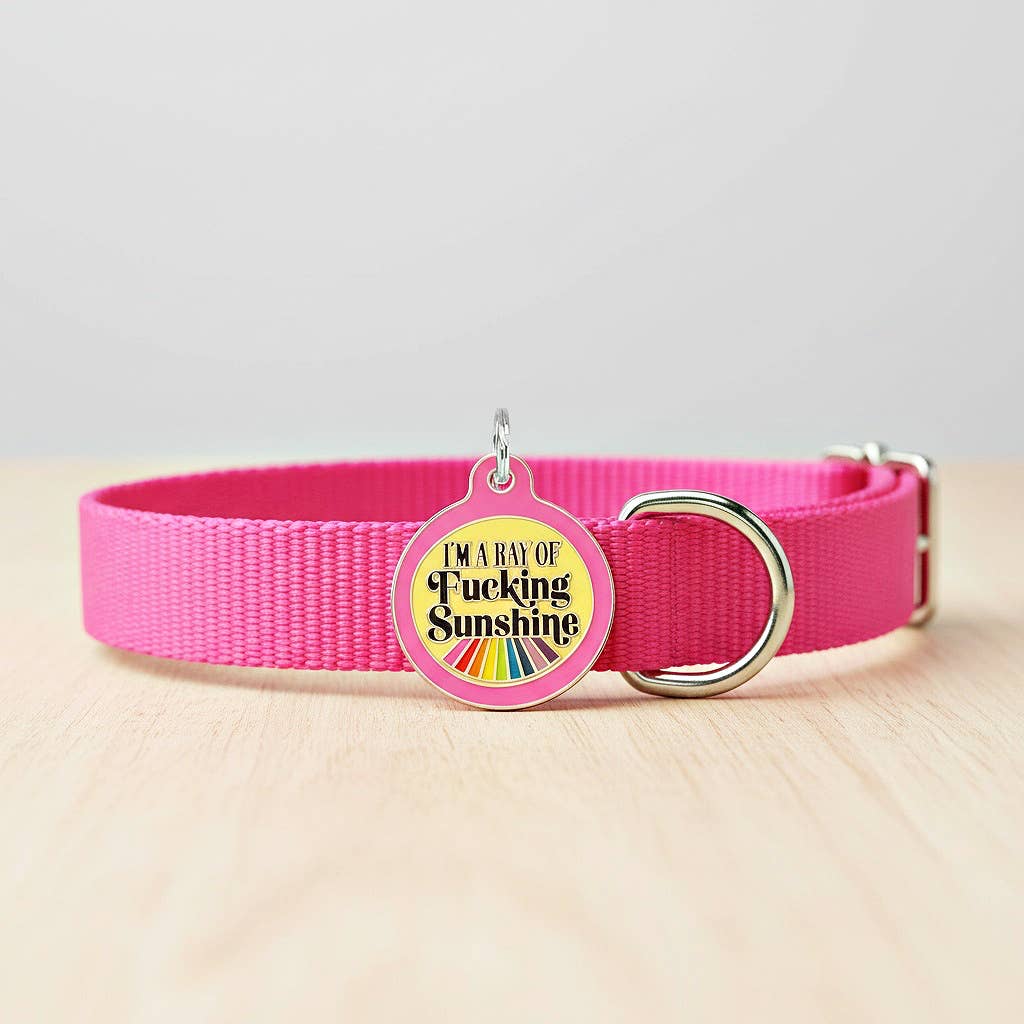 Funny Dog ID Tag with Personalized QR - Ray of Sunshine