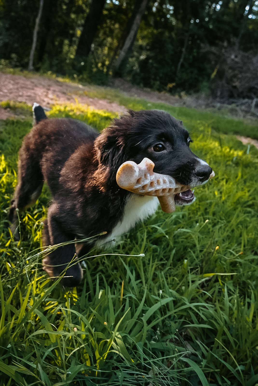 Hard Chew Nylon Antlers - Made in the USA