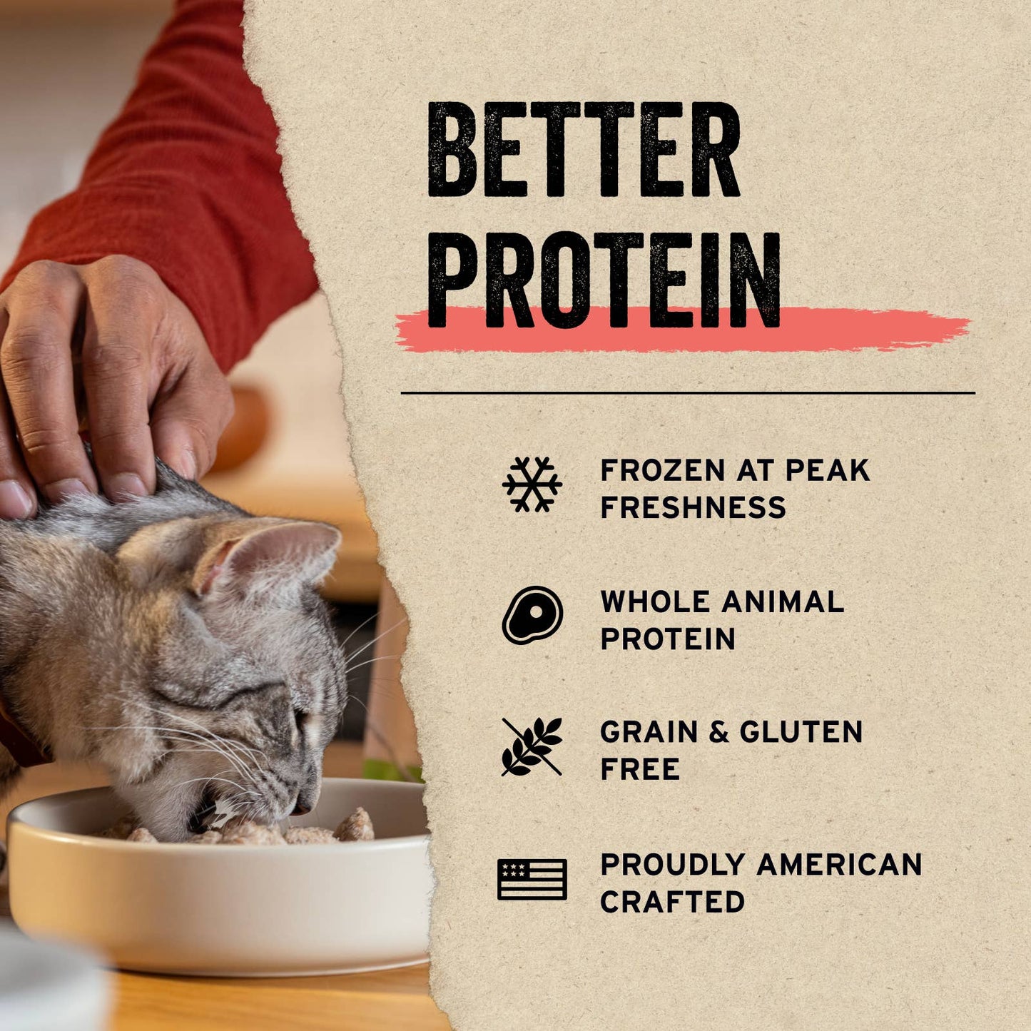 Vital Essentials Freeze-Dried Raw Minnows Cat Treats