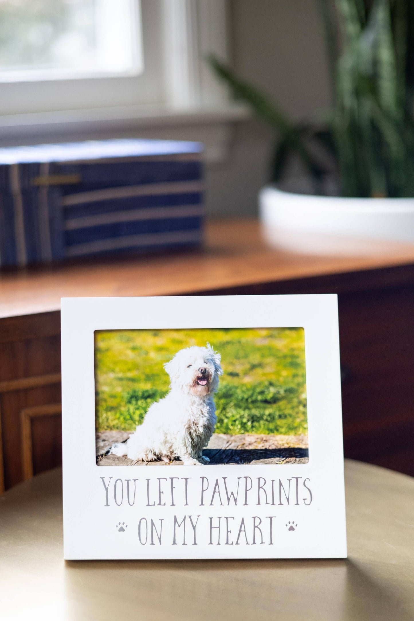 You Left Pawprints On My Heart Sentiment Frame