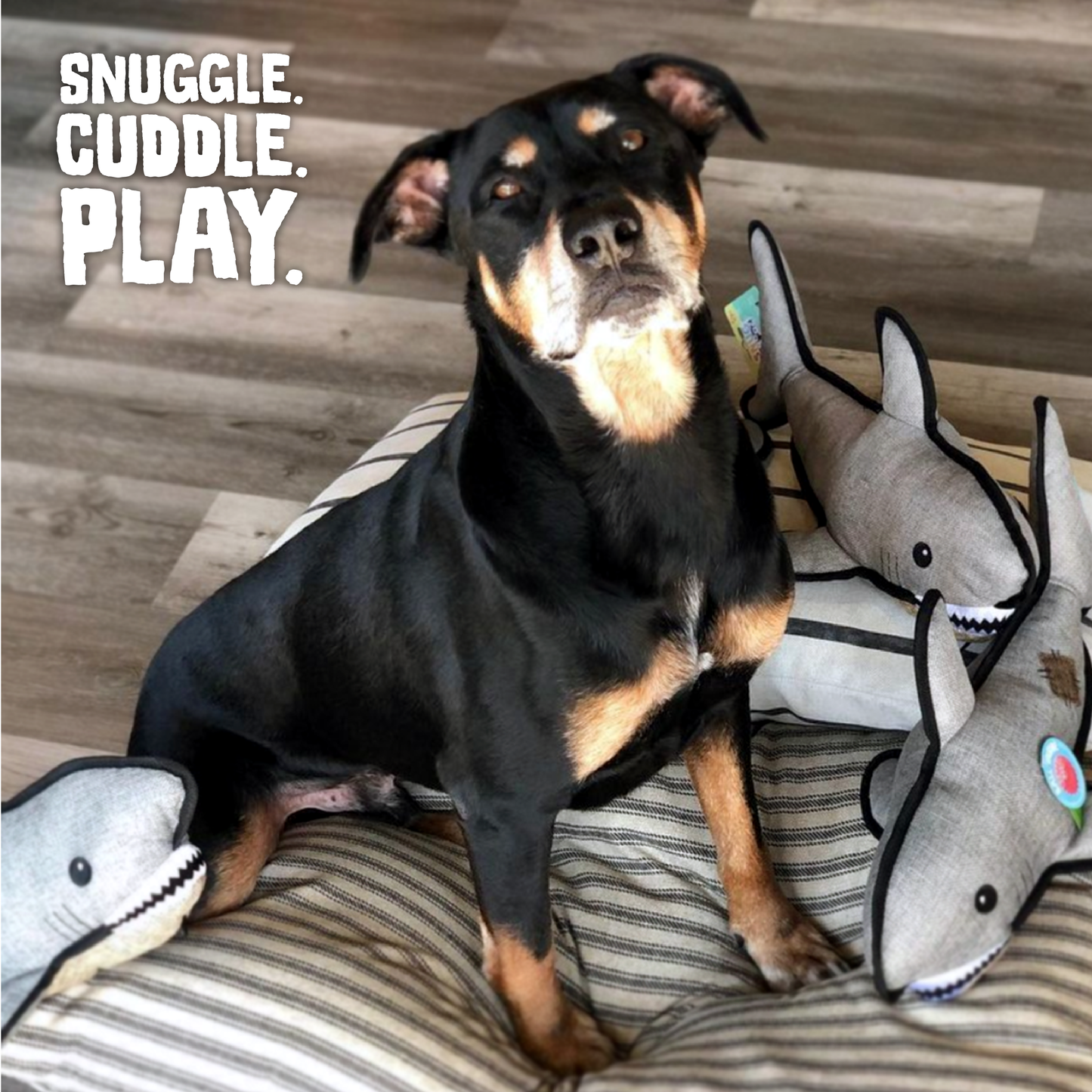SnugArooz Saul the Shark w/ Rubber Spikey Ball Dog Toy 19"