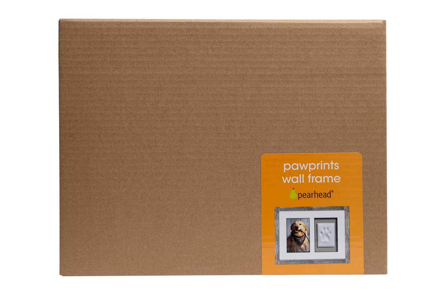 Pawprints Wall Frame and Impression Kit, White Distressed