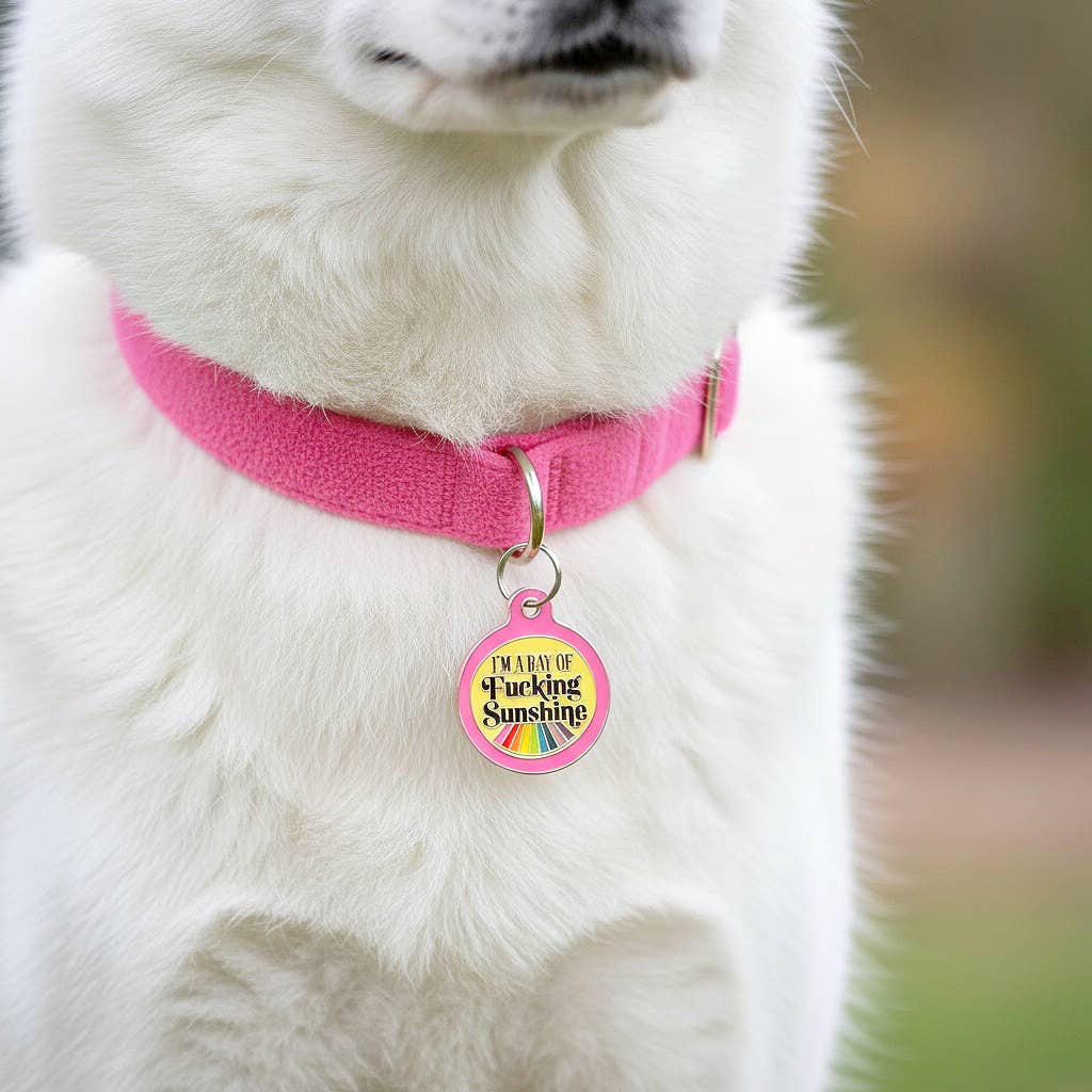 Funny Dog ID Tag with Personalized QR - Ray of Sunshine
