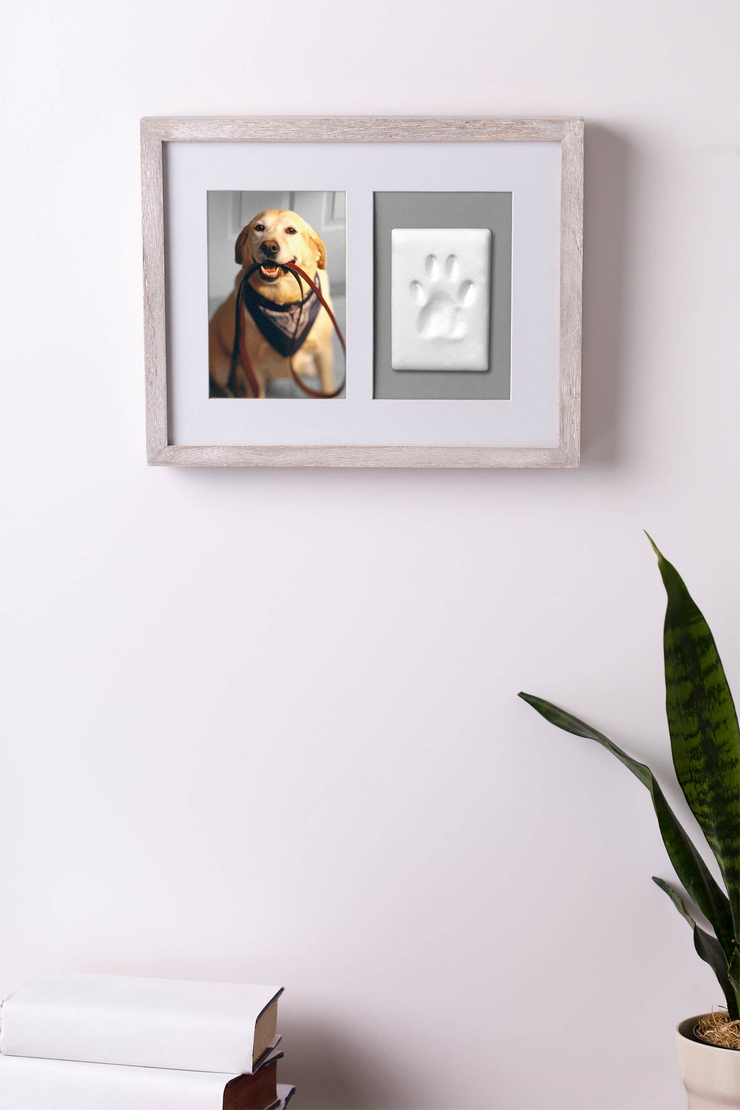 Pawprints Wall Frame and Impression Kit, White Distressed