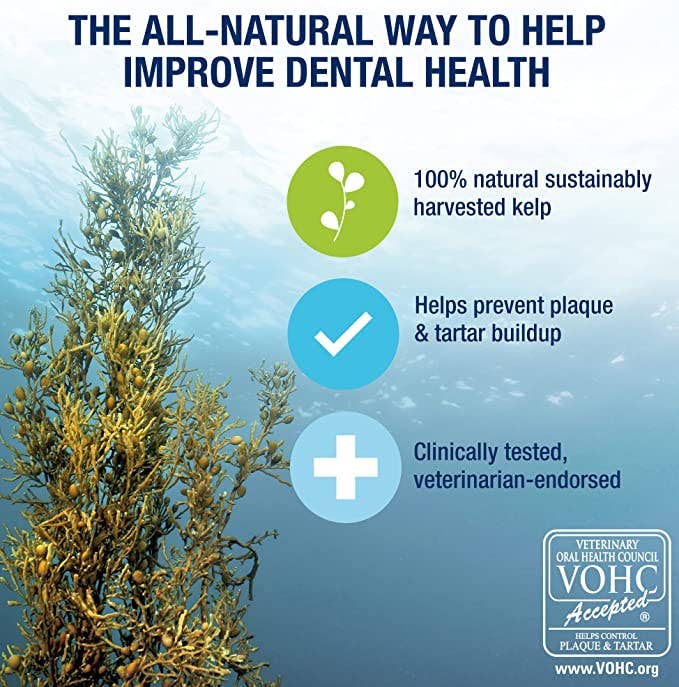 PlaqueOff Powder 40 Gram Bottle For Cats