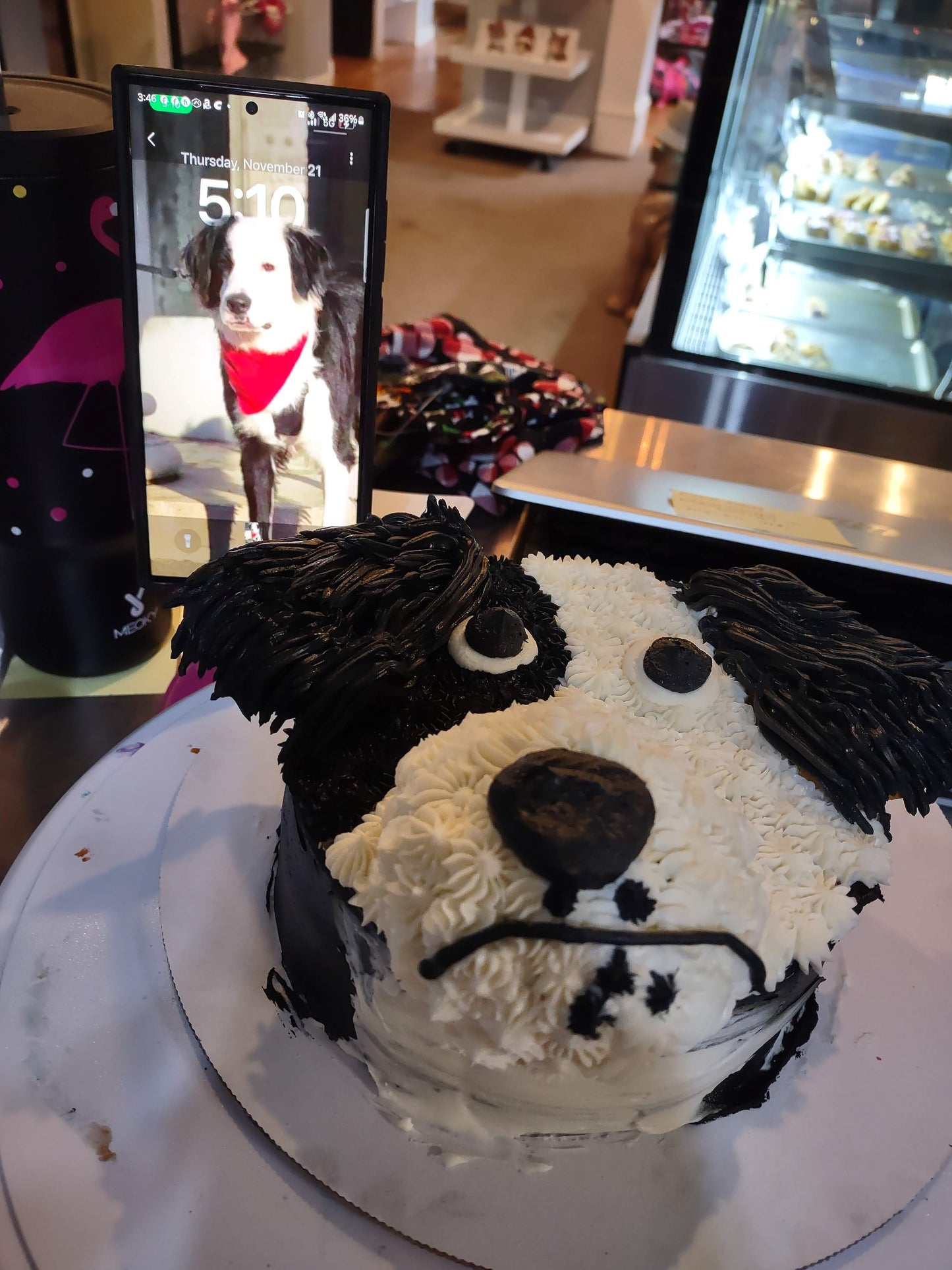 Pup Face Cake