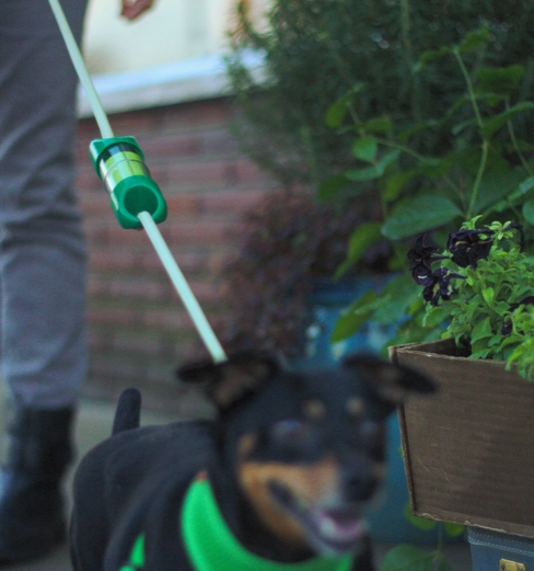 Loop For Poop - Green