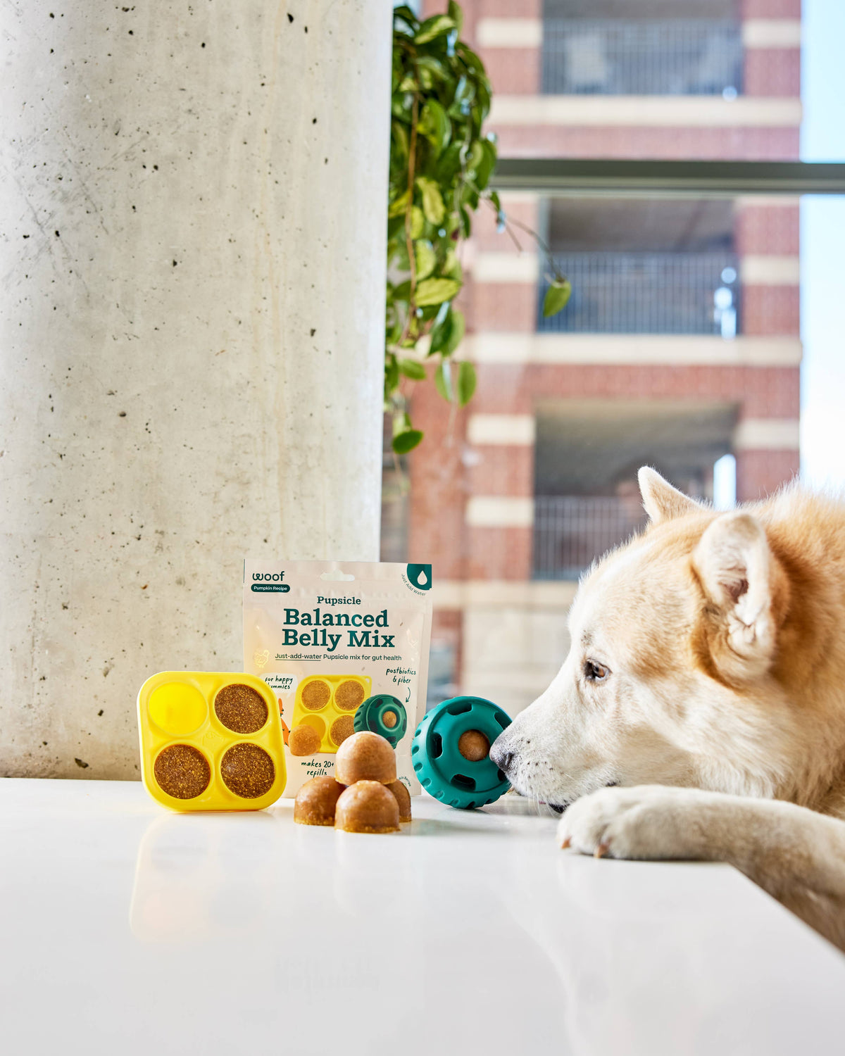 WOOF Pupsicle Treat Mix - Balanced Belly