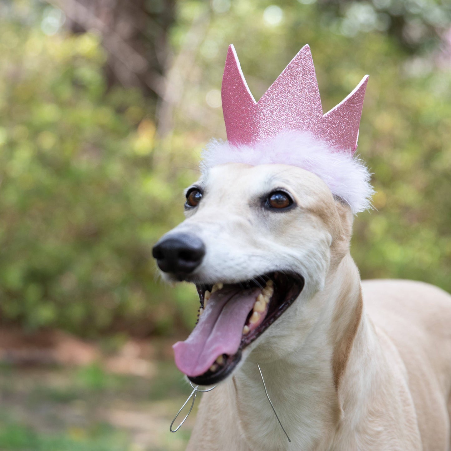Party Crown Pink with SnugFit®