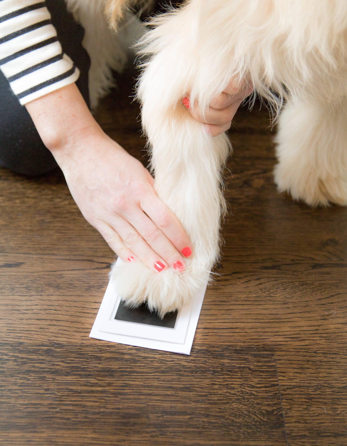 Pet Pawprint Clean-Touch Ink Pad, Black
