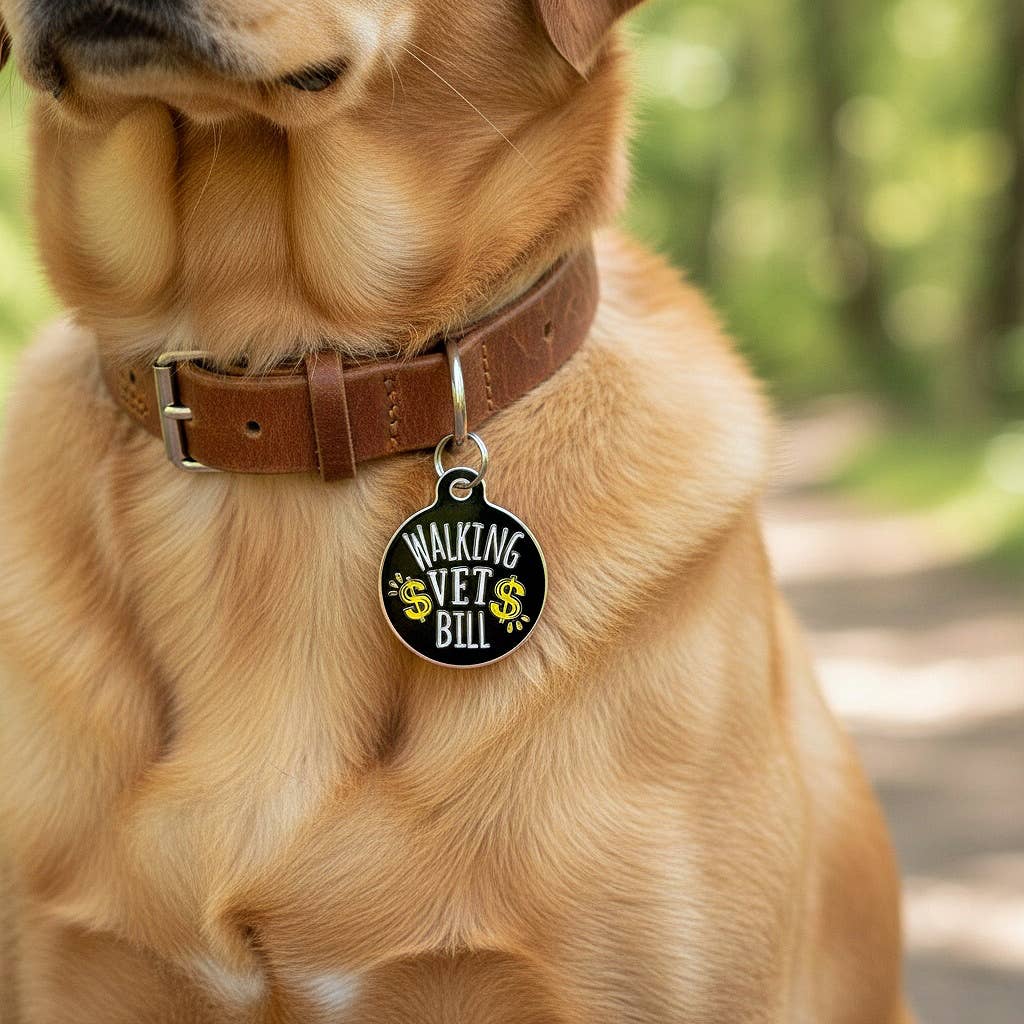 Dog ID Tag w/ Scannable QR Code - Walking Vet Bill