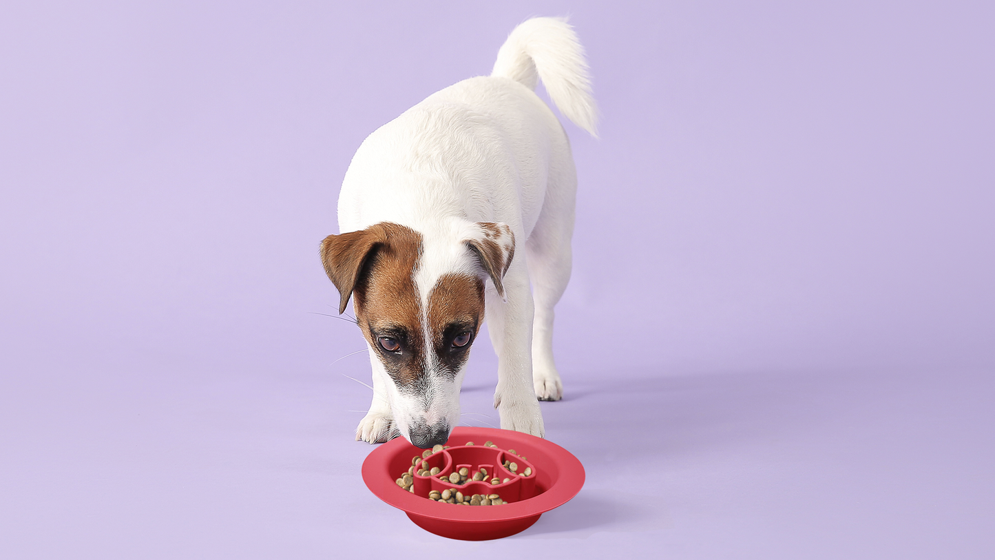 Lick Pad + Slow Feeder DUO, Bowl