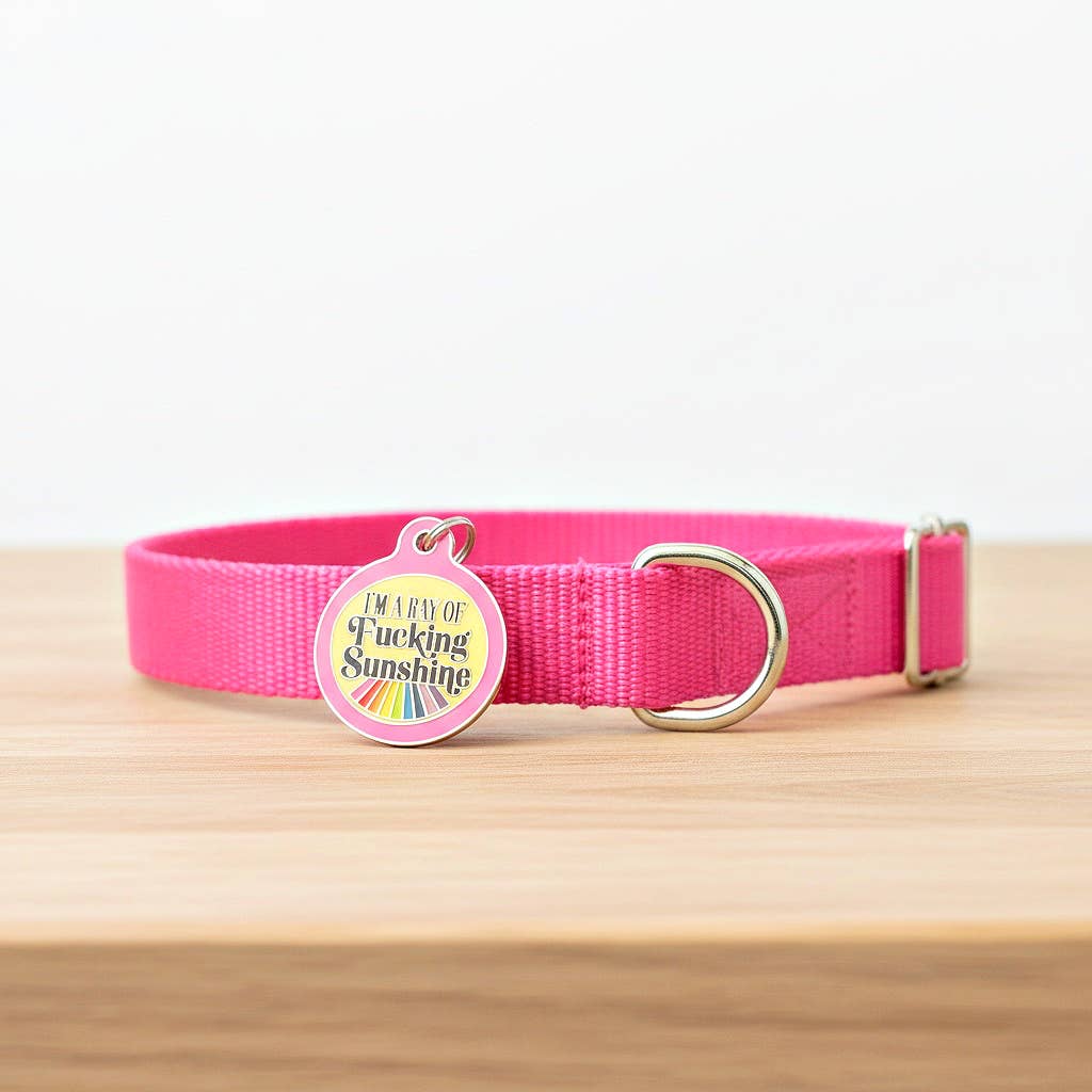 Funny Dog ID Tag with Personalized QR - Ray of Sunshine