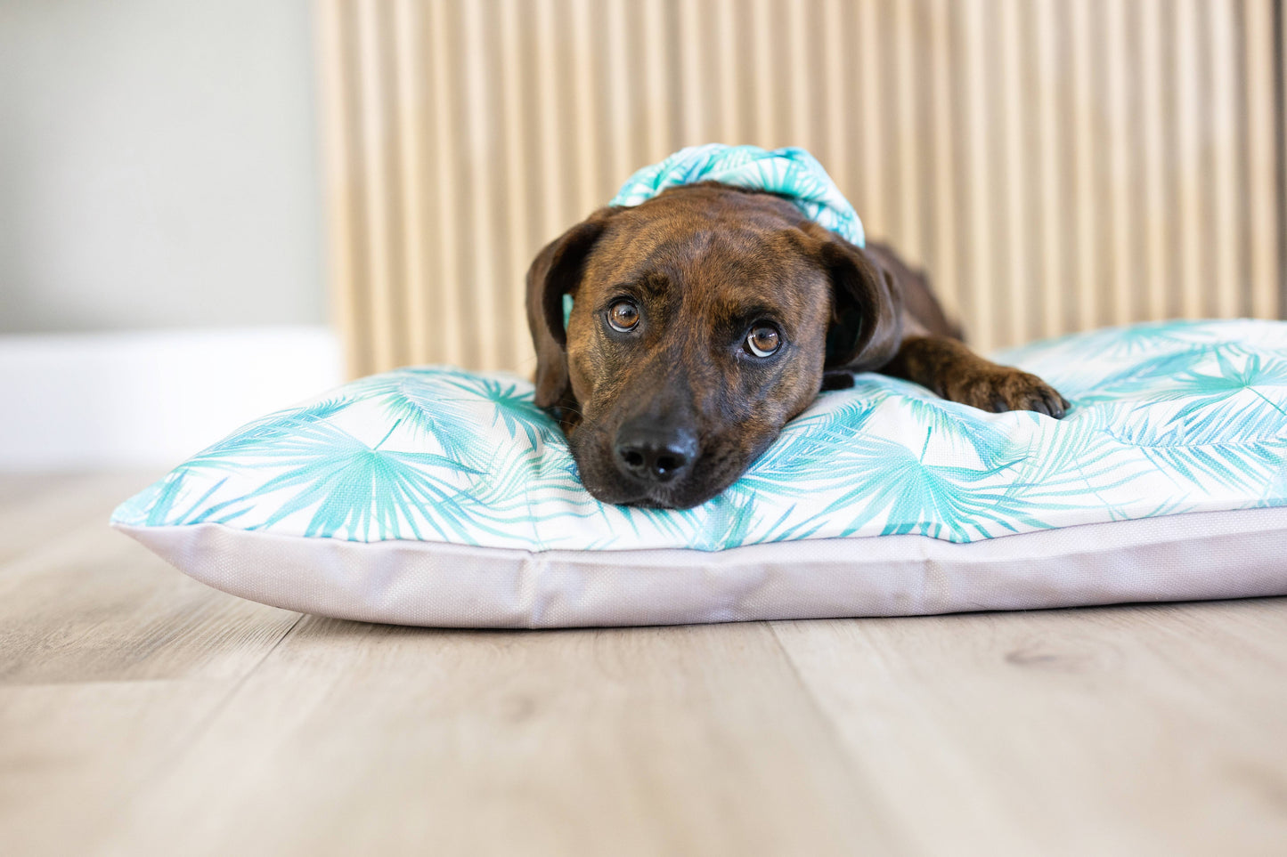 Washable Pet Bed Cover - Capri