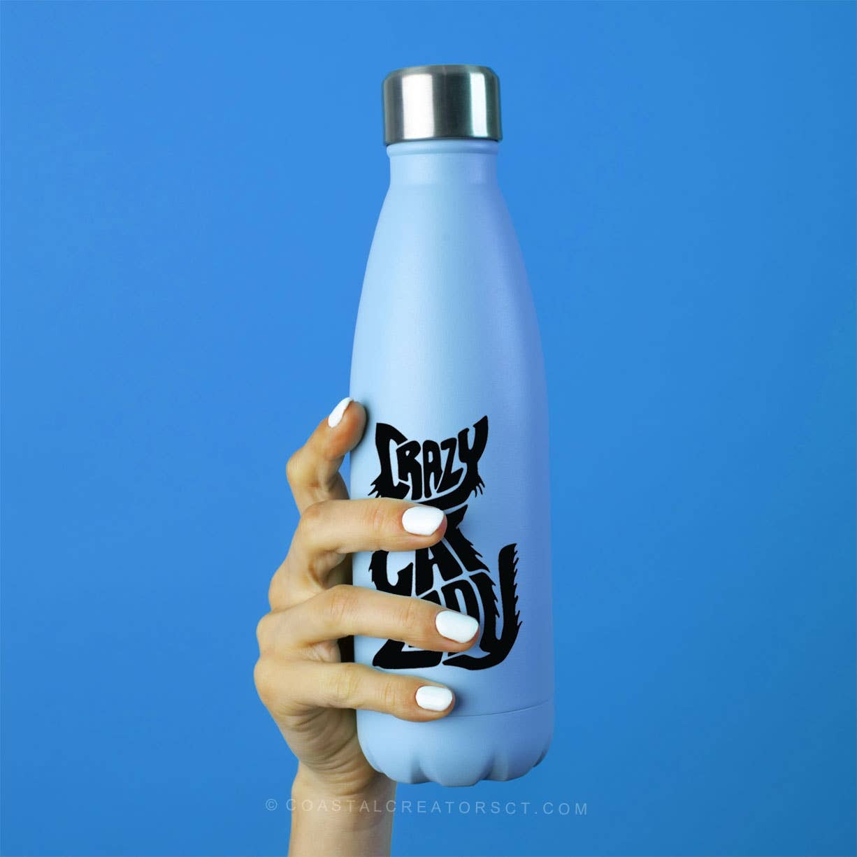 Crazy Cat Lady Vinyl Laptop / Water Bottle Sticker (Black)