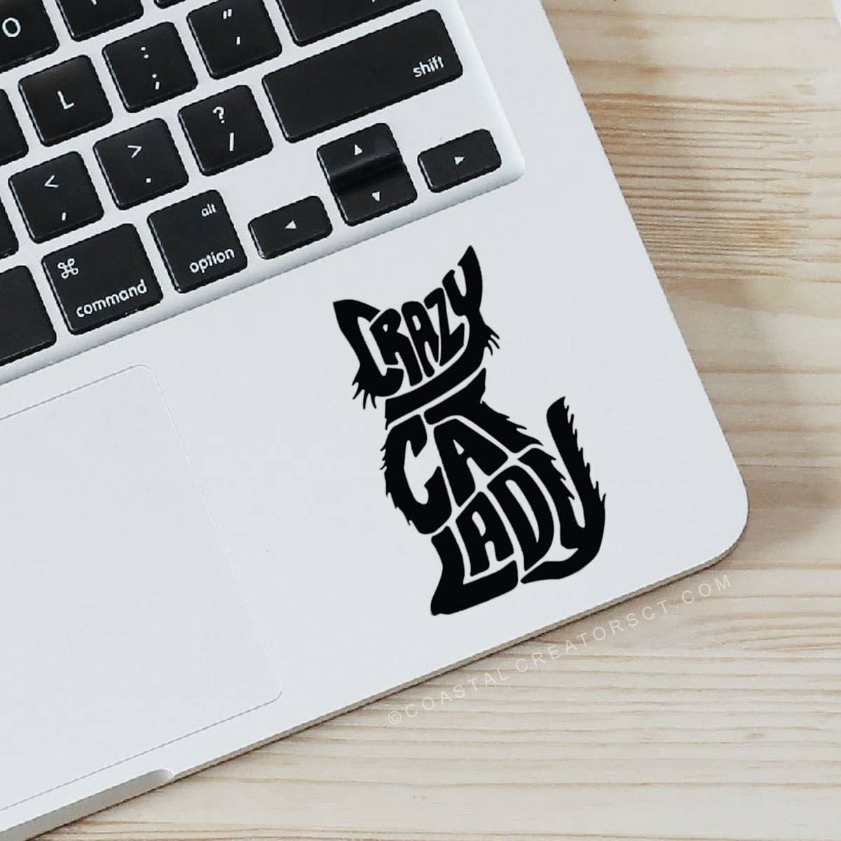 Crazy Cat Lady Vinyl Laptop / Water Bottle Sticker (Black)