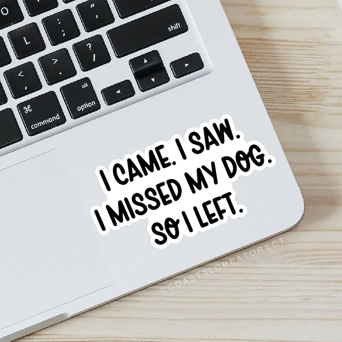 I Came. I Saw. I Missed My Dog. So I Left Laptop Sticker Packaged