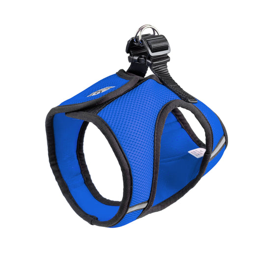 H&K Hudson Harness Blue