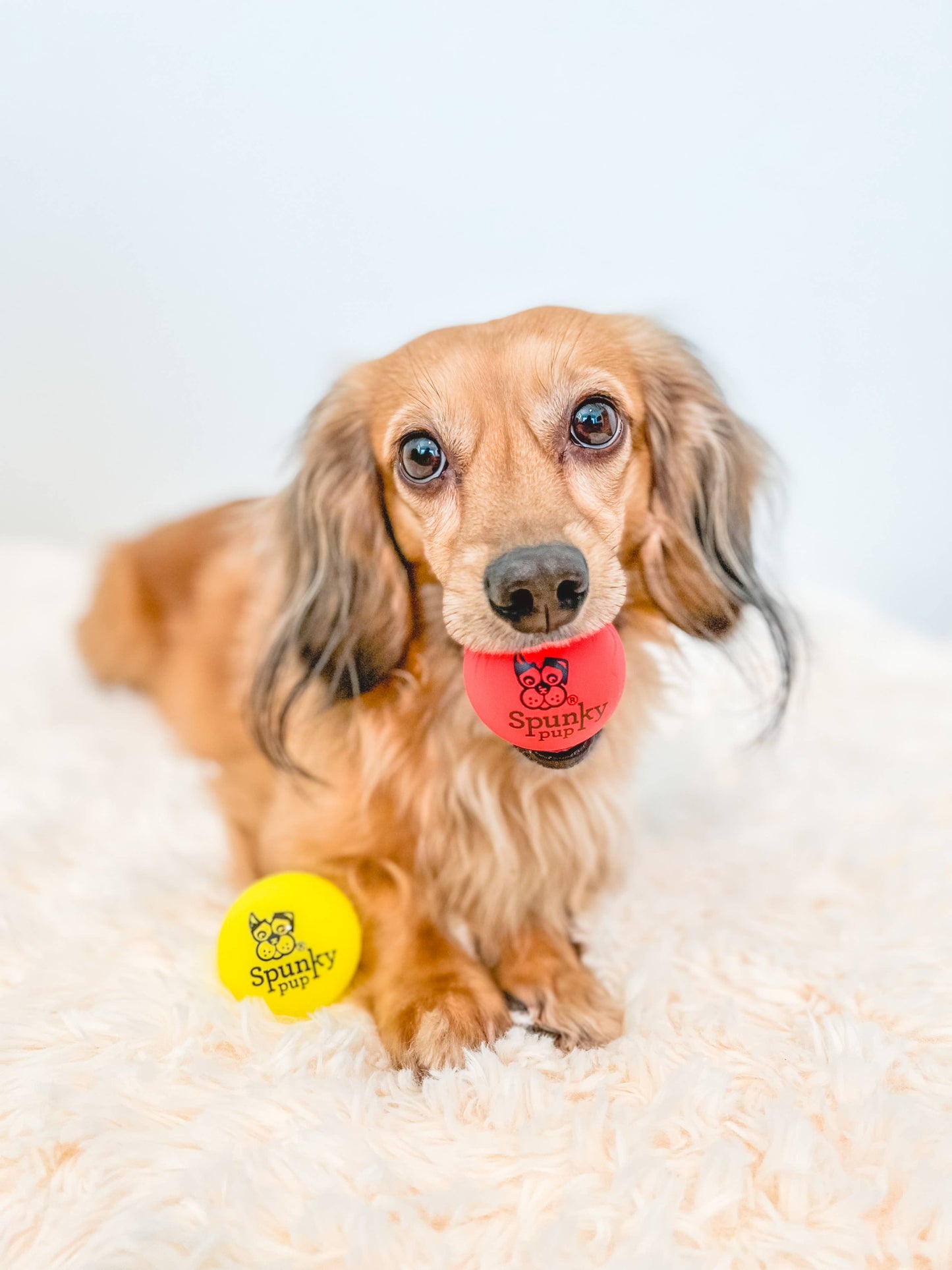 Fetch and Glow Ball Medium