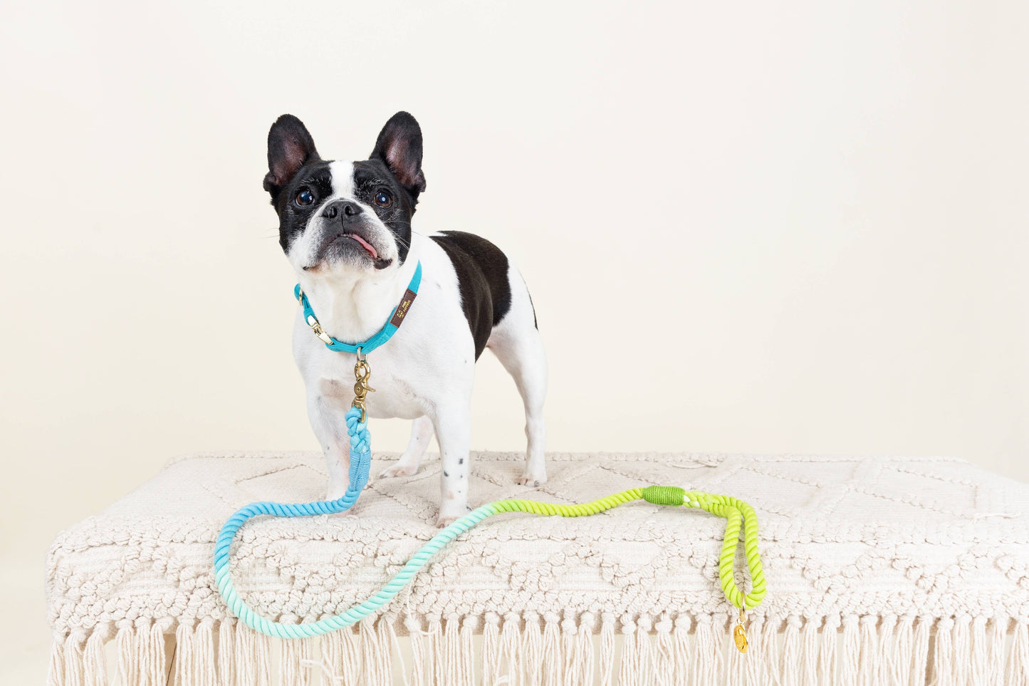 Alexandria Rope Dog Leash | Dog Leash | Blue Ombre Leash 4ft