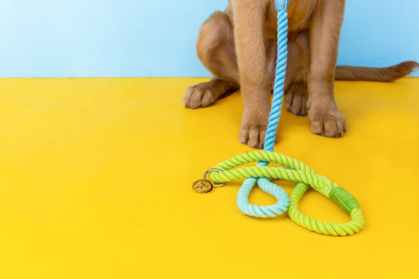 Alexandria Rope Dog Leash | Dog Leash | Blue Ombre Leash 4ft