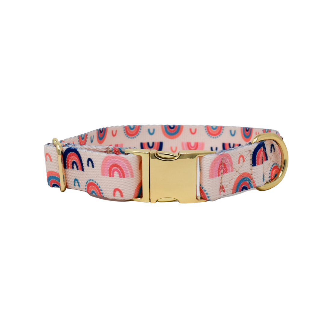 Clarke Dog Collar | Rainbow Dog Collar | Dog Collar