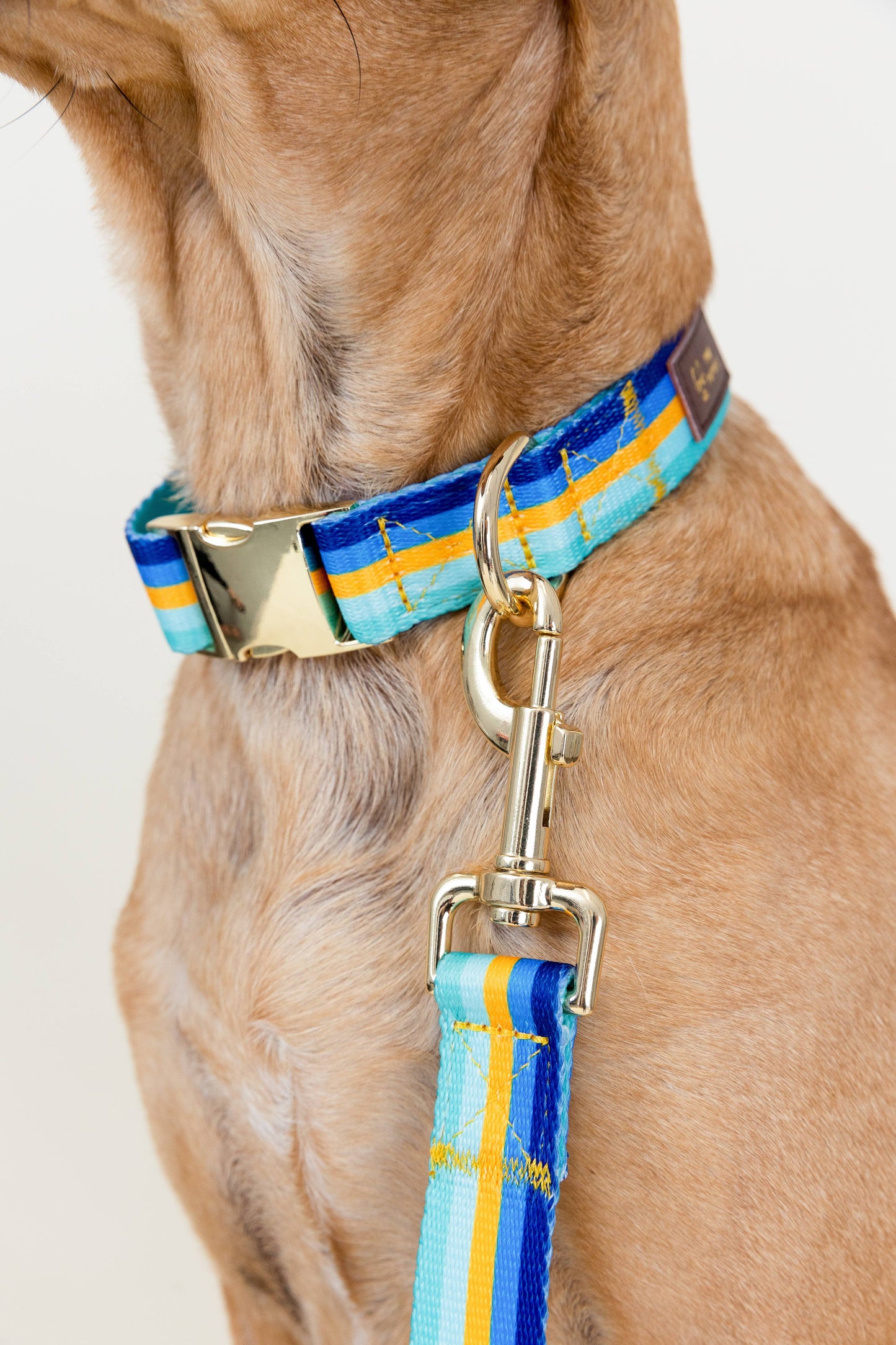 Milo Dog Leash | Blue & Green Dog Leash | Stripe Dog Lead
