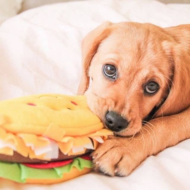 ZippyPaws NomNomz Taco