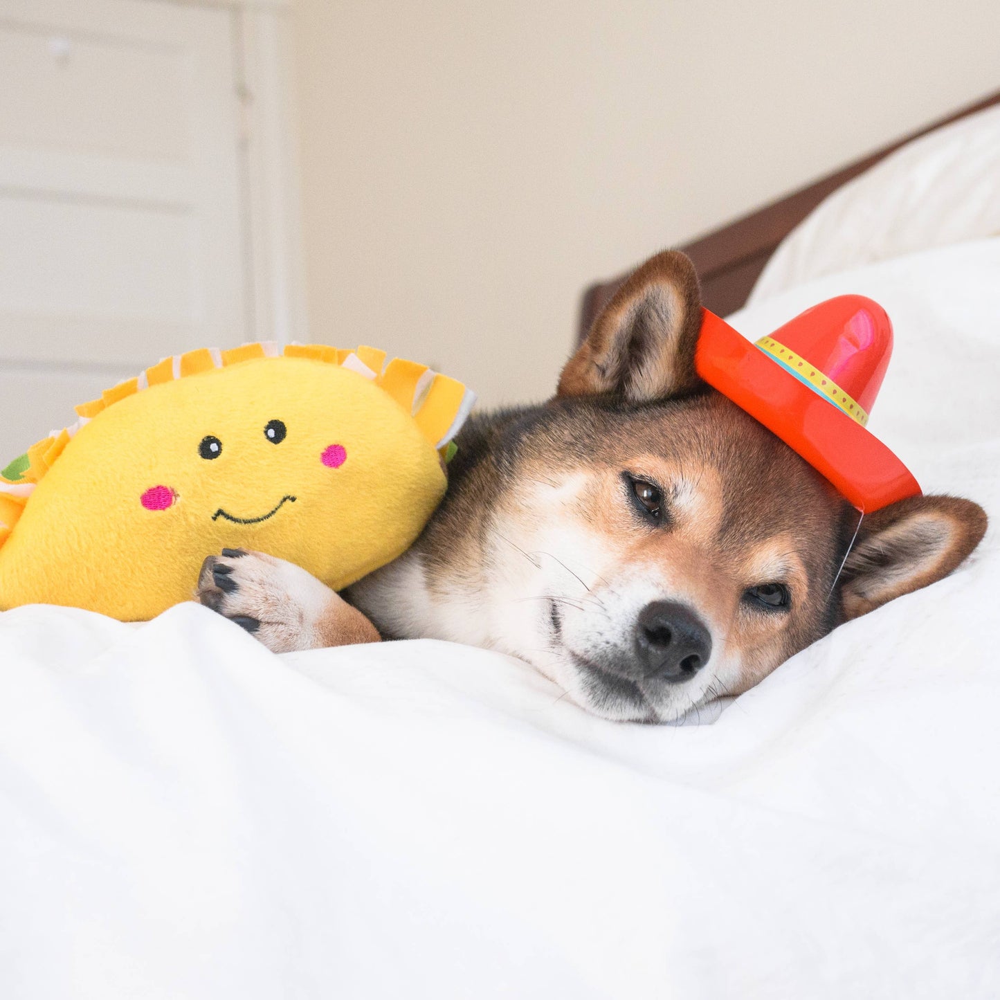 ZippyPaws NomNomz Taco