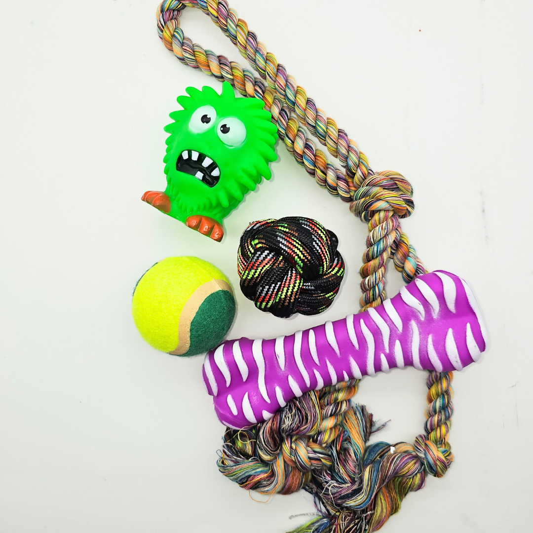 Advent Calendar & Medium Santa Pack LIMITED TIME OFFER