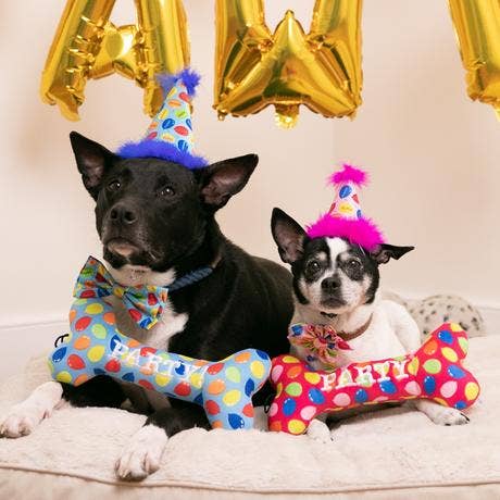 Birthday Toys