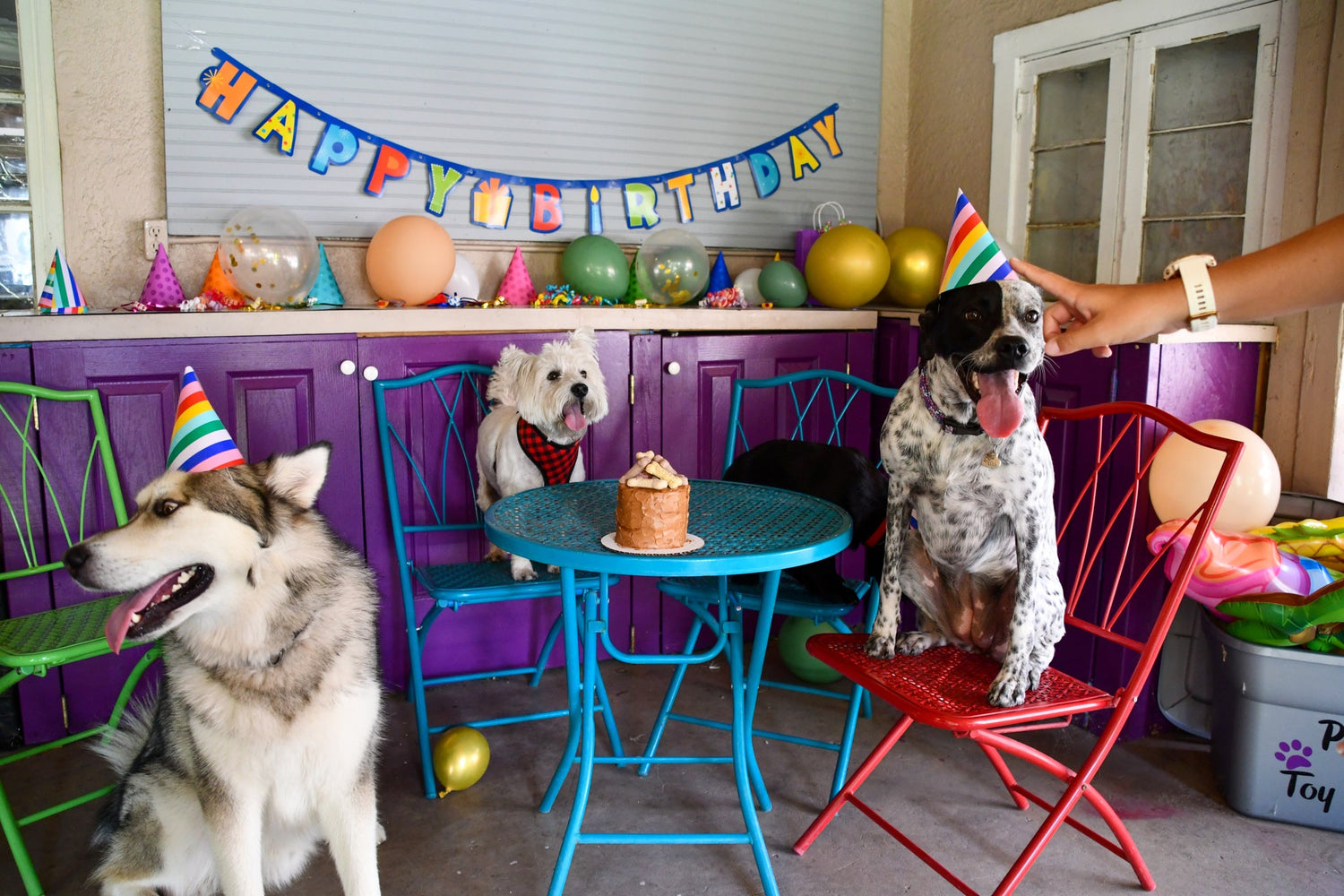 Birthday