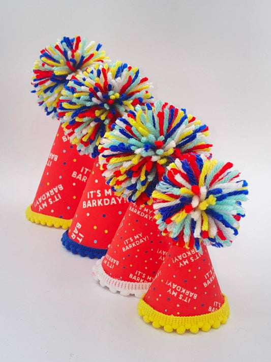 It's My Barkday Party Hat