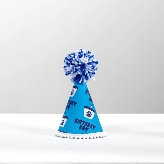 Birthday Blue Boy  Ink Party Hat 