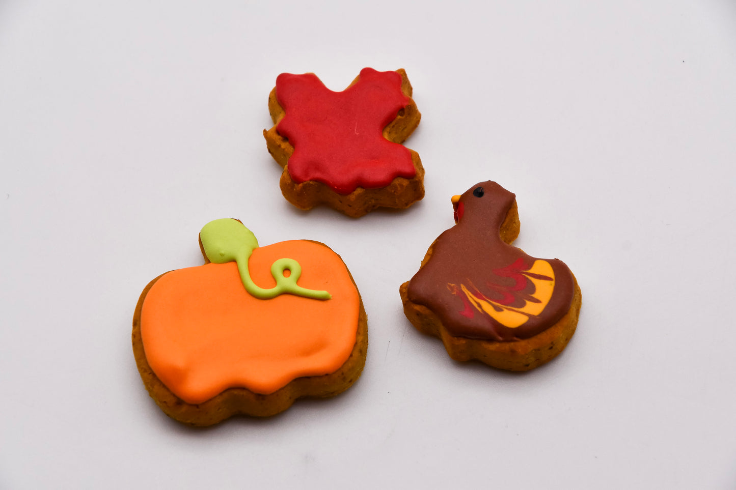 Thanksgiving Cookies