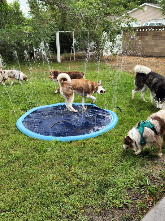 Kiddy Pool & Splash Pad