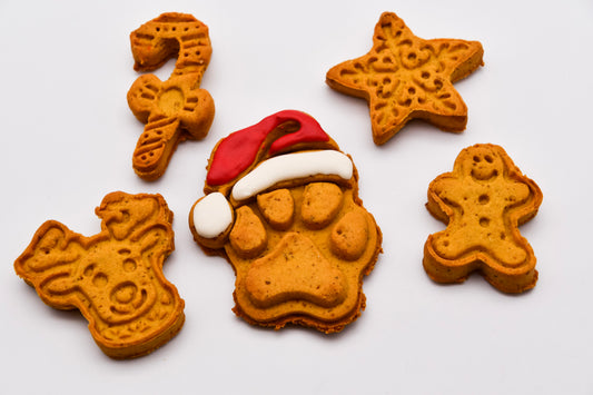 Santa Pack Large - PREORDER