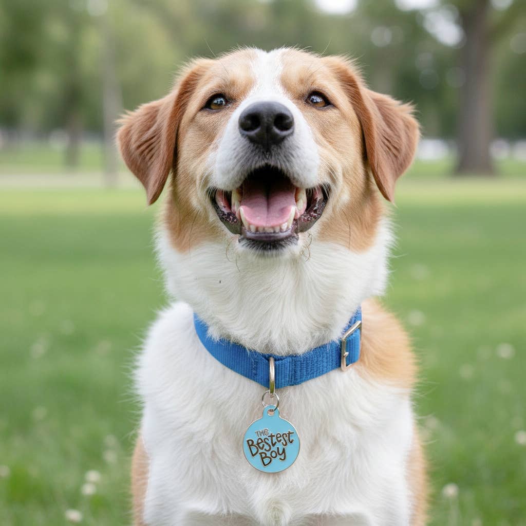 The Bestest Boy
