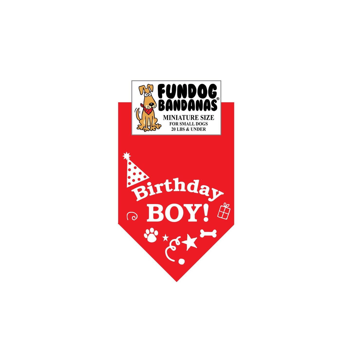 Birthday Boy Bandana