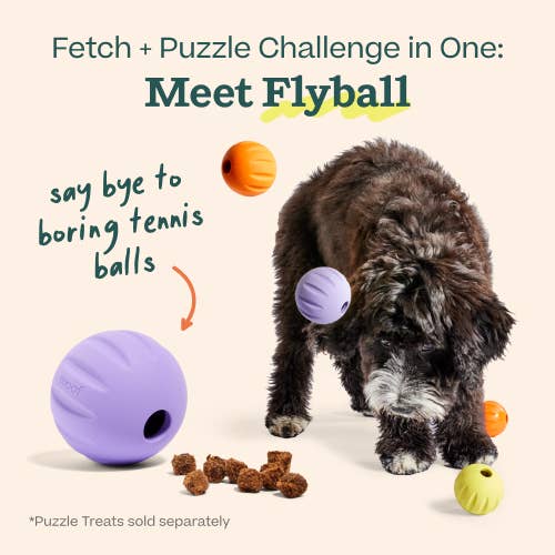 Flyball Treat Dispensing Dog Ball