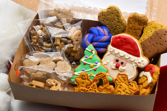 Santa Pack Large - PREORDER