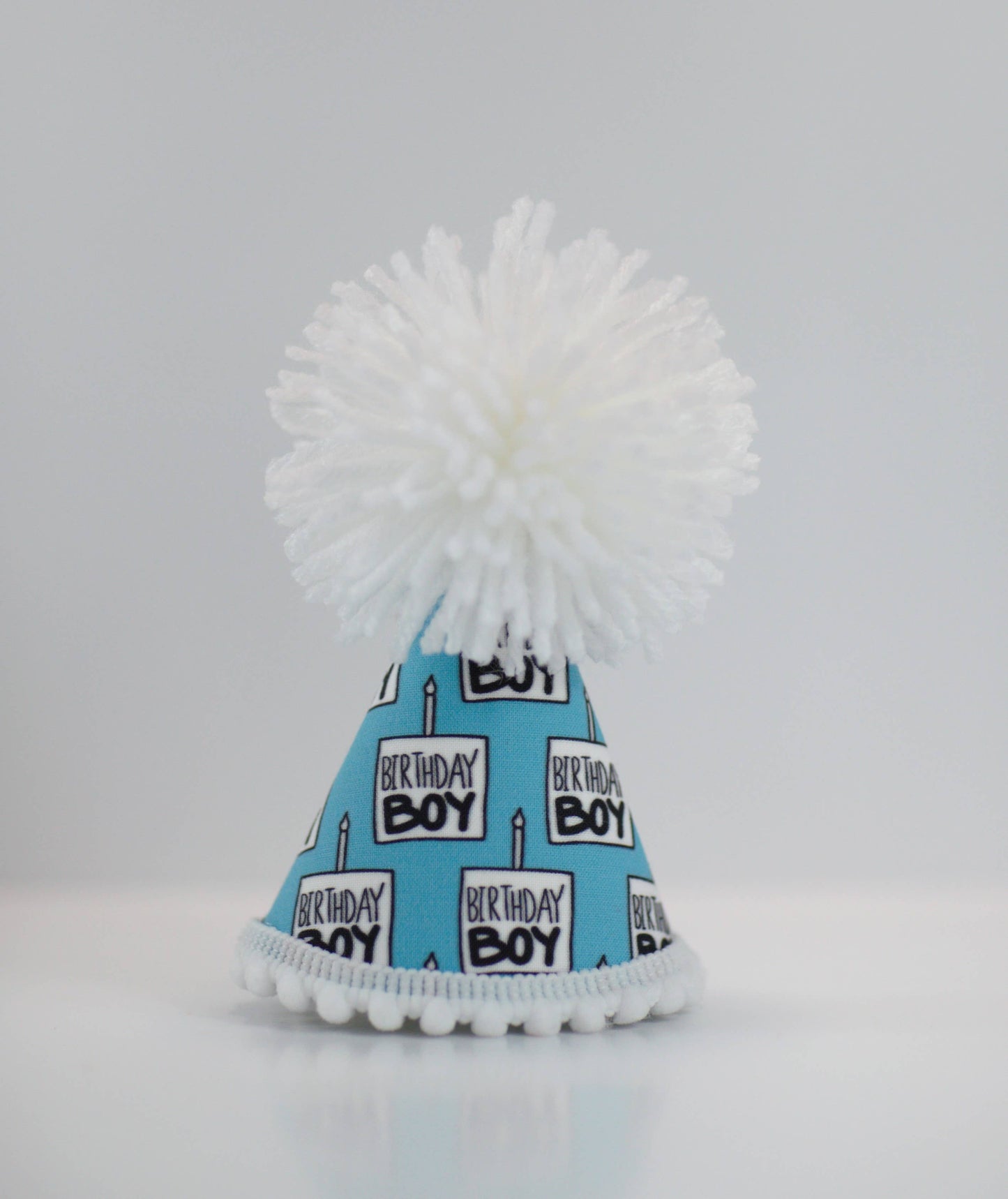 Birthday Boy Black Ink Party Hat