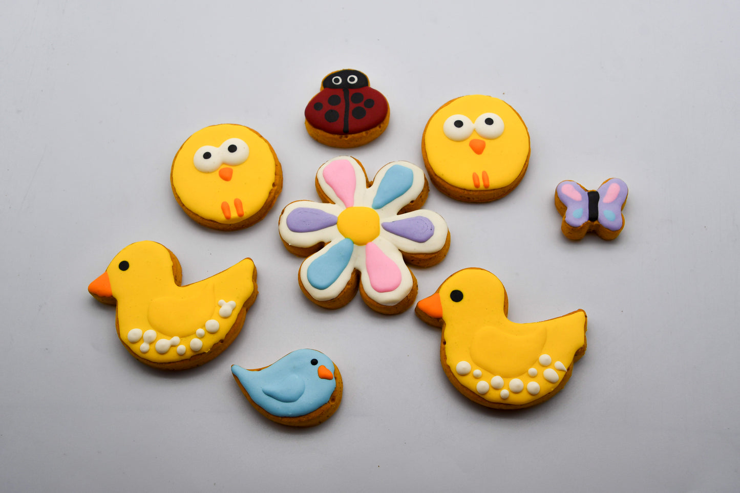 Spring & Summer Cookies