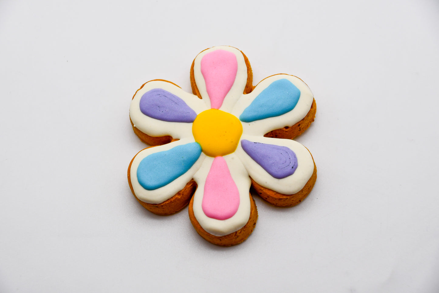 Spring & Summer Cookies