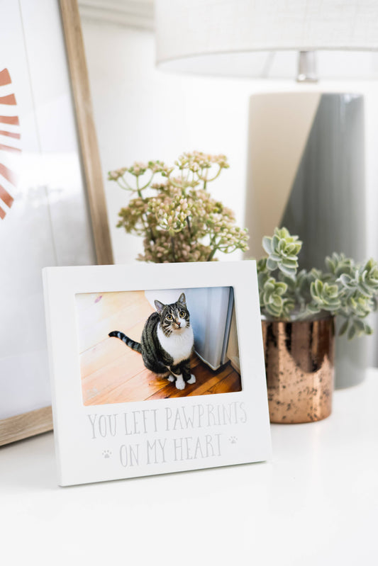 You Left Pawprints On My Heart Sentiment Frame