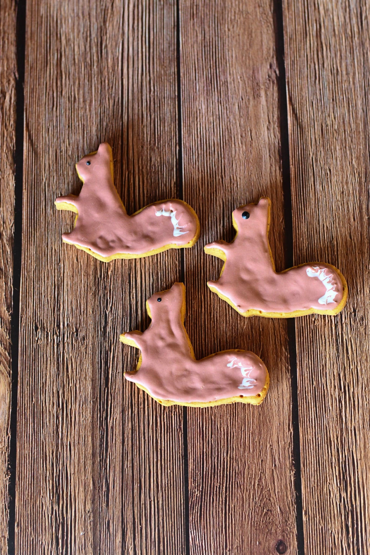 Fall Doggy Cookies