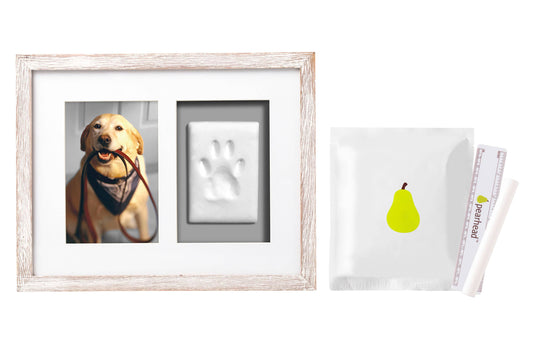 Pawprints Wall Frame and Impression Kit, White Distressed